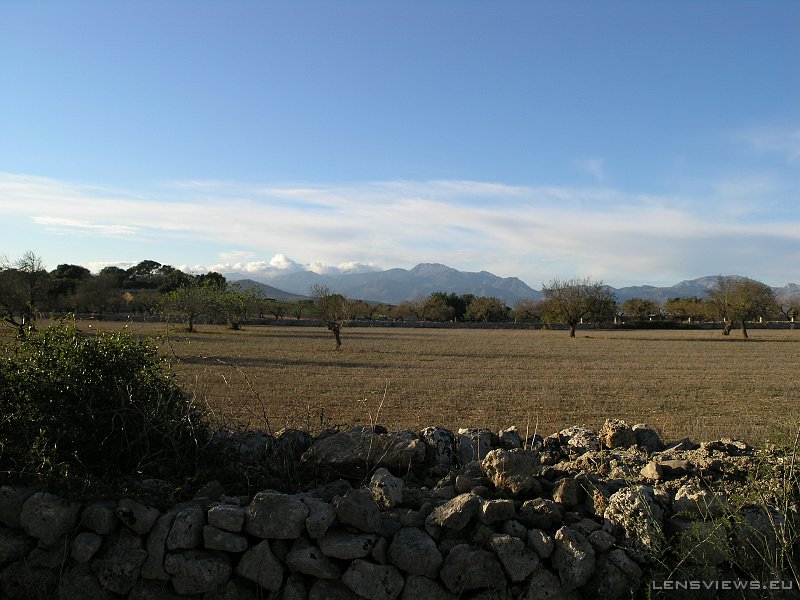 2006_11_21 16_24_18 OLYMPUS DIGITAL CAMERA         